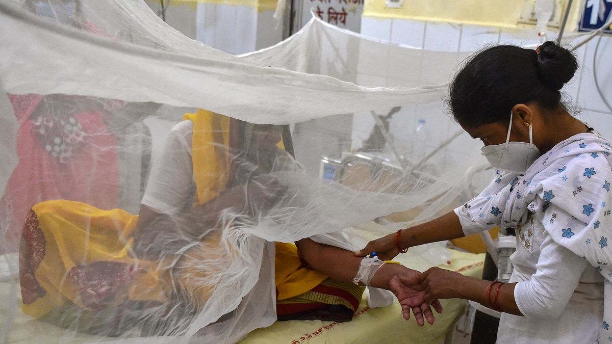V Indii zabíjí záhadná horečka. Může ale jít třeba i o dobře známou dengue